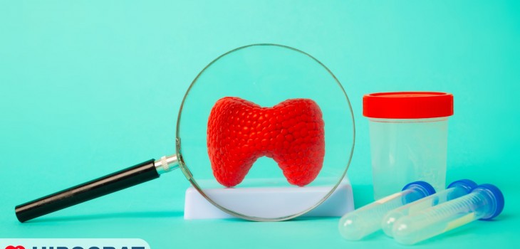 Analizele de Endocrinologie: De ce sunt importante?