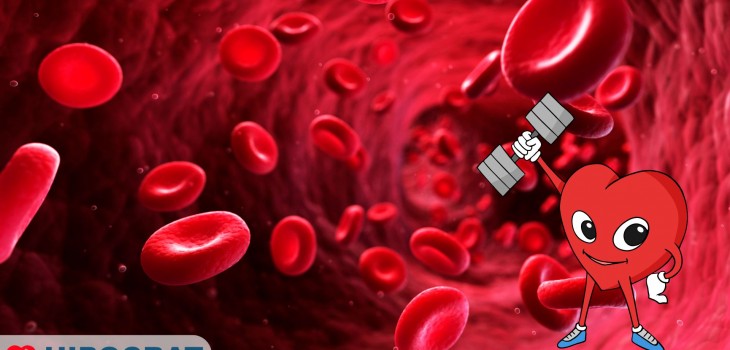 Legătura dintre nivelul scăzut de fier și insuficiența cardiacă